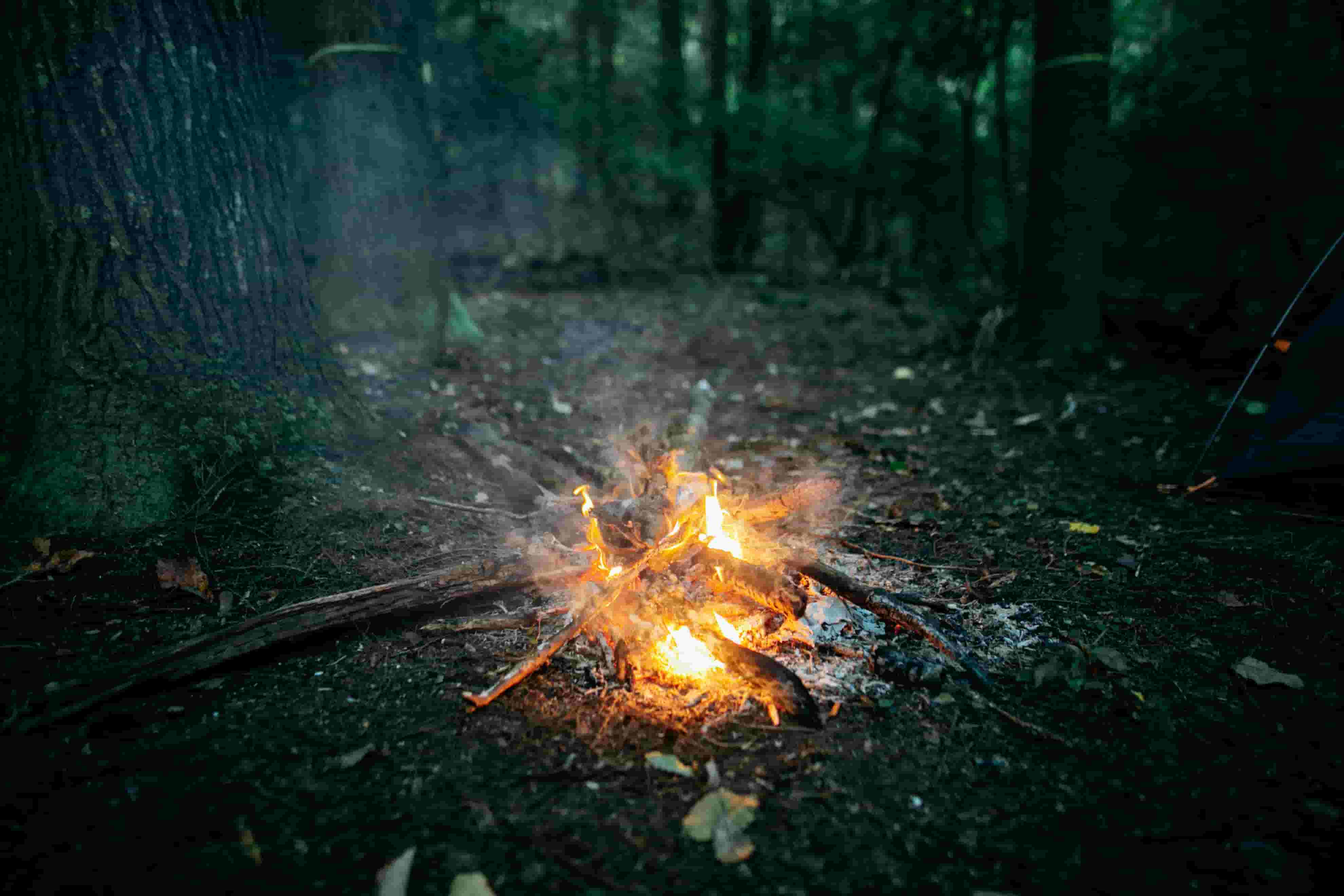 Campfire 1