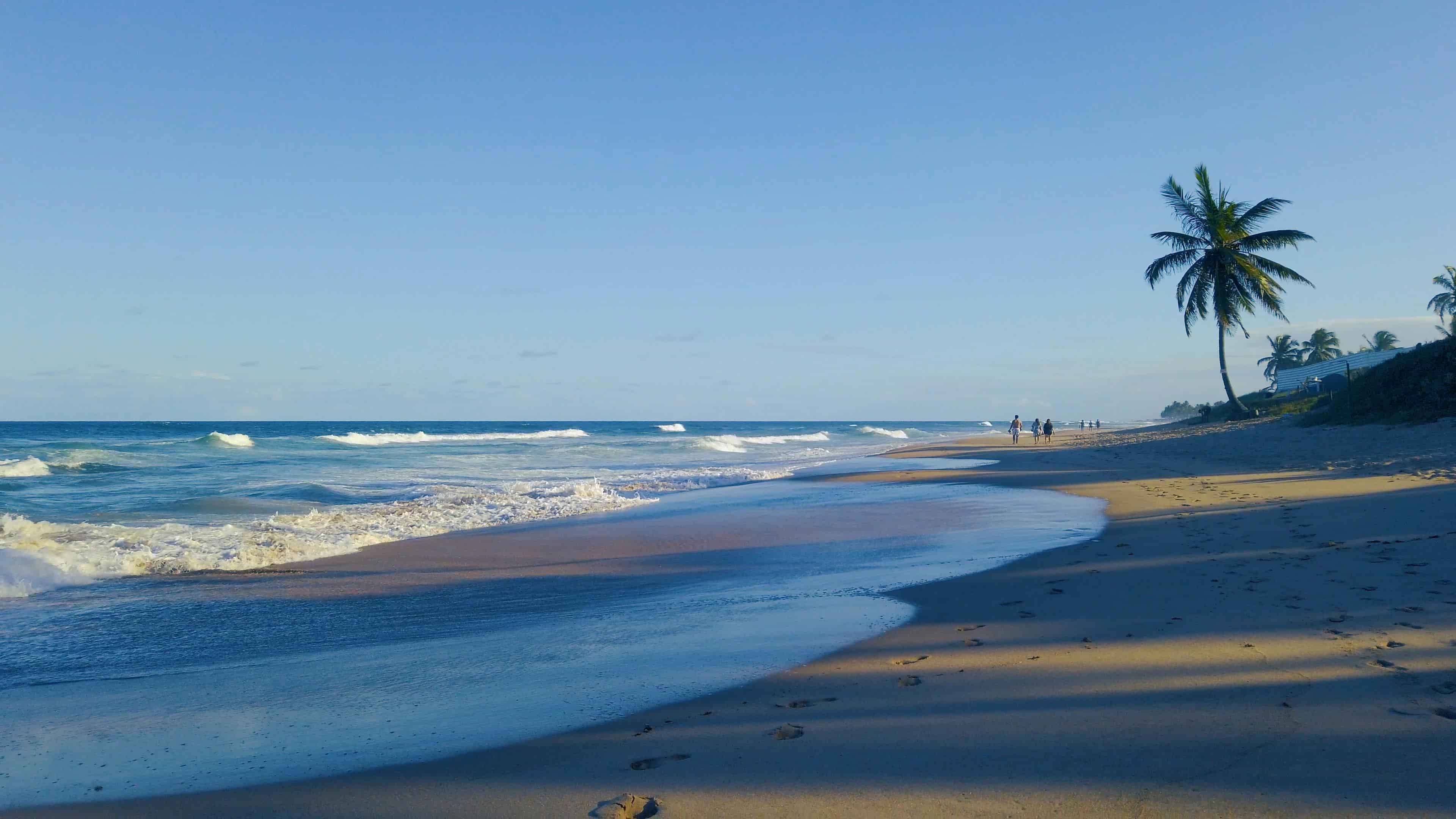 Ocean 4
