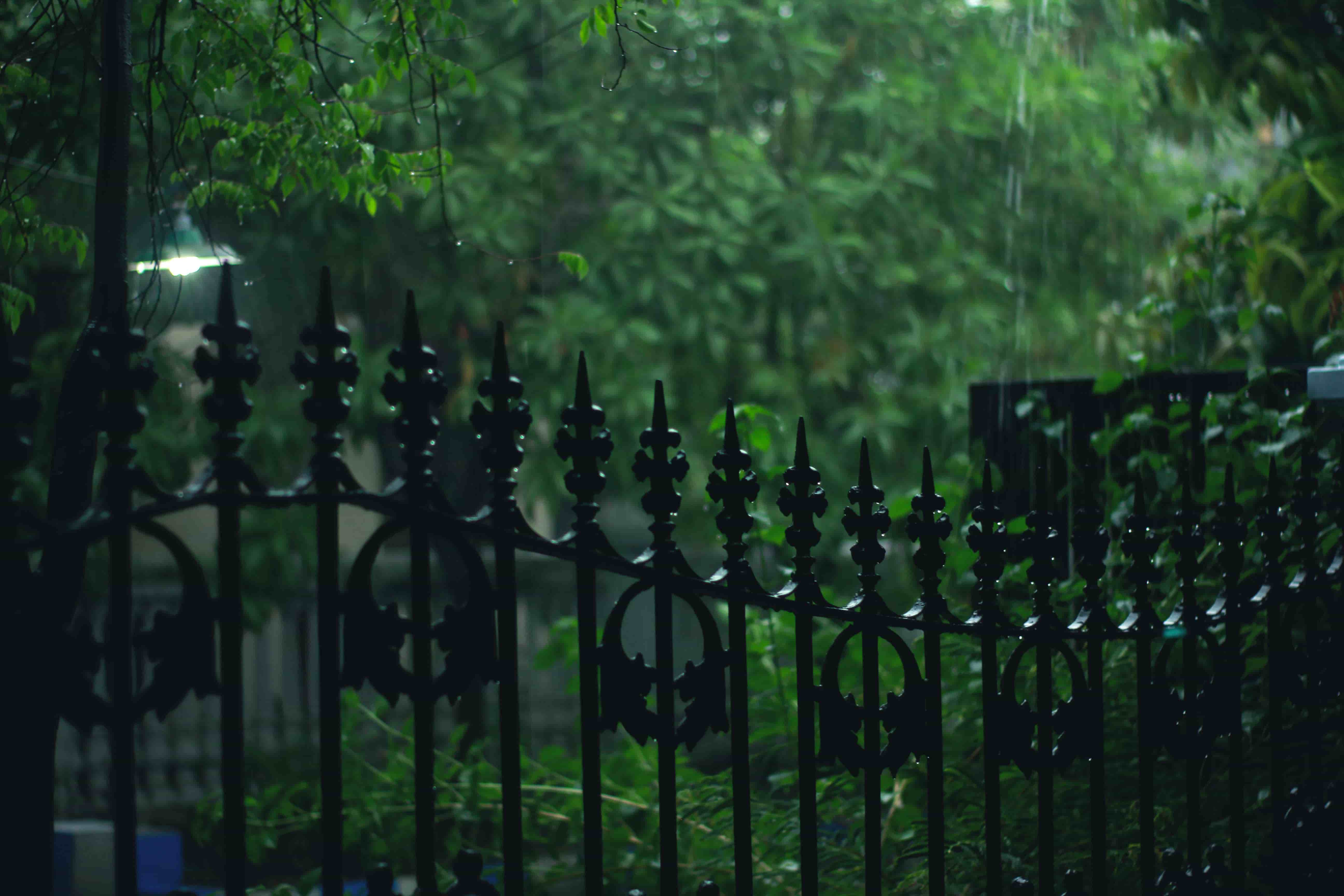 Rain Thunder 9