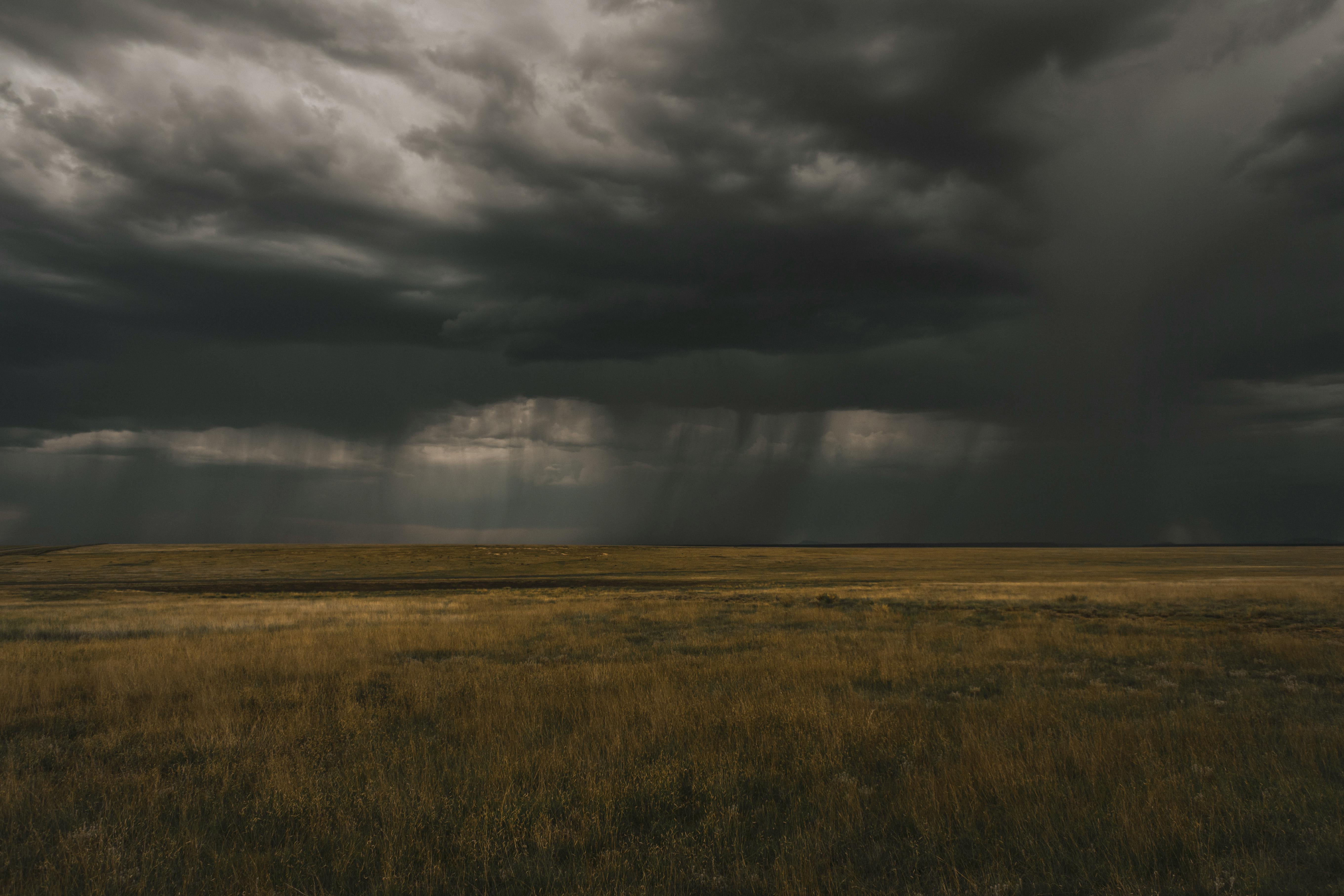 Wind Storm 6